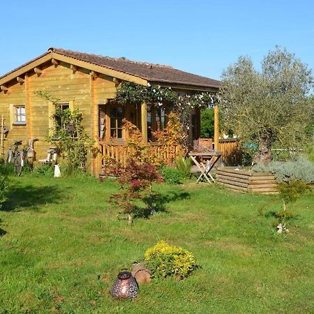 Chalet Bois Pleine Campagne A Pontigny Exterior photo