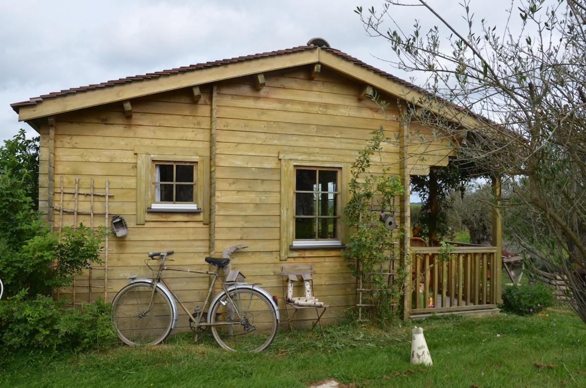 Chalet Bois Pleine Campagne A Pontigny Exterior photo